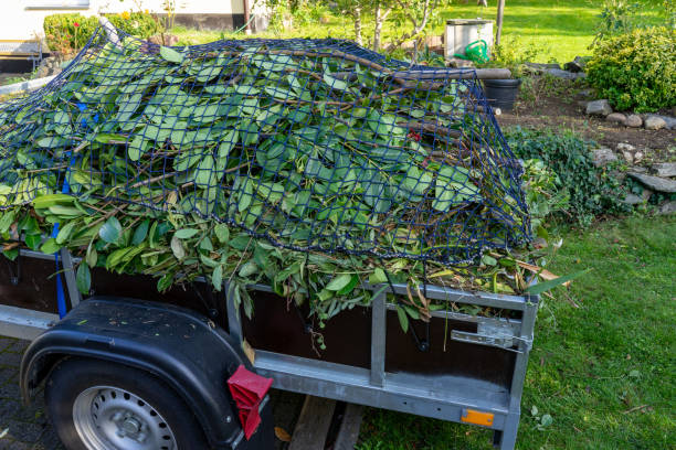 Best Residential Junk Removal  in Troy, MO